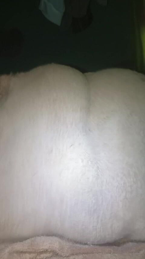 Africatrans: Horny Tgirl Couples Hardcore Fuck