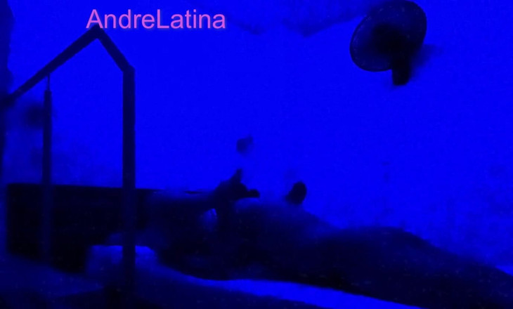 Gatita latina: Pantat Sempit Menjepit Menderu Saat Air Mani Mengisi Intinya Yang...