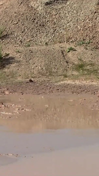 A Great Mud Adventure