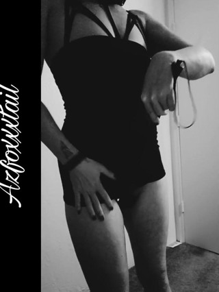 AzFoxxxTailPhelicia: Whip1_22-03-06