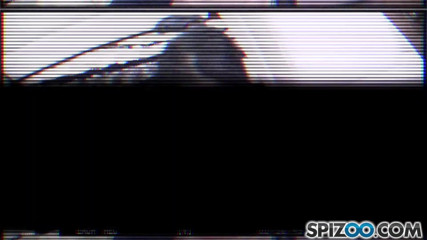 Spizoo: Ava 생일 선물
