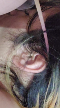 I Have a Dick in My Mouth