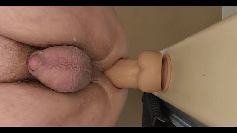 Curious Jay: 새로운 장난감의 콘텐츠