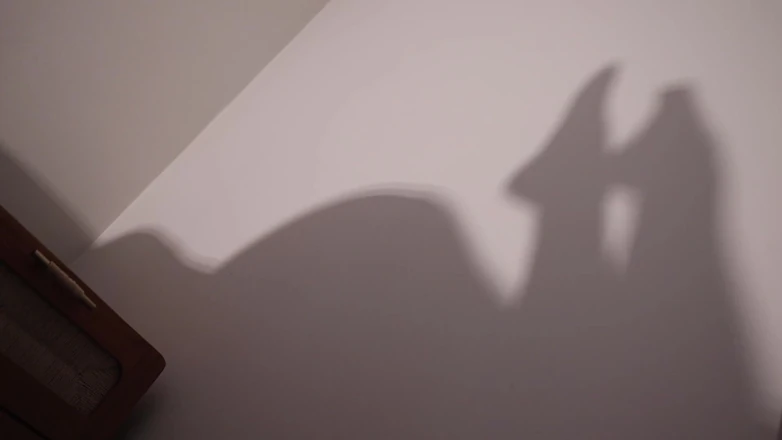 Countess diamond: Worship My Shadow - My Pleasure, Your Denial