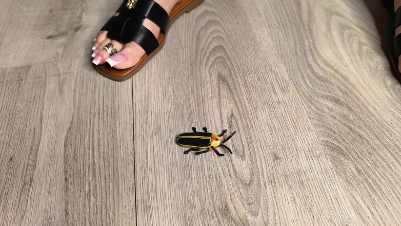 Goddess Lena: Chasseur d’insectes