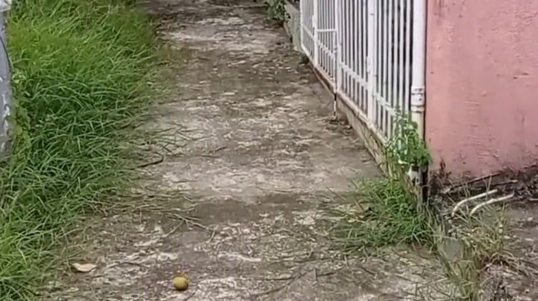 Troye_AsianPinoy: Jakol trip ko sa громадське кладовище - Sarap Dami Kong Pinutok (частина 1)