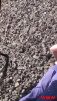 Balkan Brat Dom Bitches Whip Slave Joschi Public