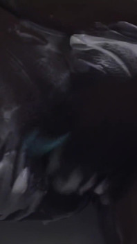 Vadia excitada implora por sexo hardcore