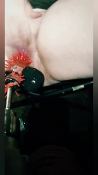 Bbw hư hỏng bị phá hủy bởi máy cu giả