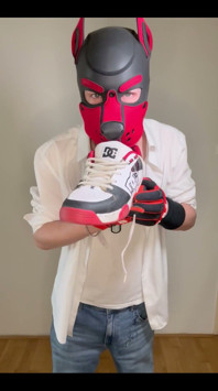 Sniff Dc Ii