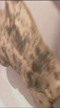 Bathroom Quick Fuck on the Stairs