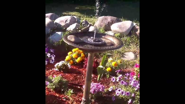 PornoJuice: Modern Day Flower Girl Starring Kayla Kandy