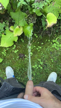 Golden Stream: Peeing in Paradise