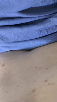 Моя дружина арабка халіцзя з великими цицьками