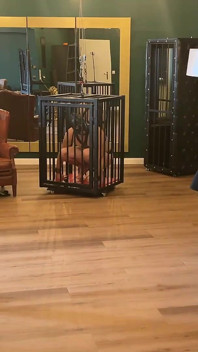 Chcaní promočené svázané otroky v Dominatrix Dungeon