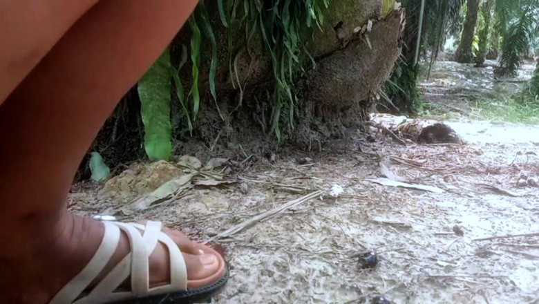 Citra: Mi suegra juega con ella al aire libre