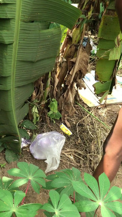 Sexydaddy: Секс утрьох в кущах, де ти гарячий топи з масажним членом, так сильно трахаєш фембоя