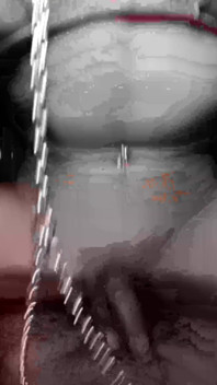 Schwanzhungriger versauter ladyboy
