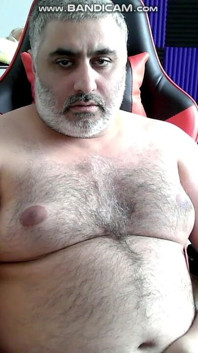 Solo Bear