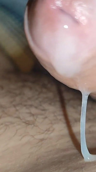 Curvilinear Pulsation of the Robust Cummed Limb