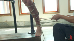 Kink Men Classics: Tyler Alexander: chico de al lado semental atormentado y pajeado...