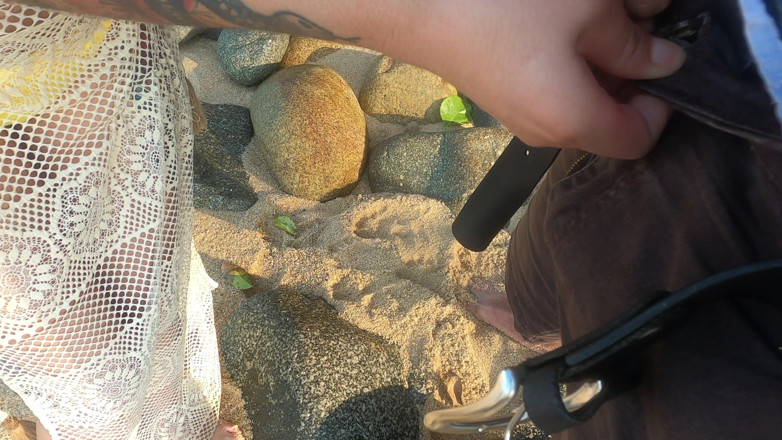 EROTICONLY: Tätowierte MILf nery nimmt hartes doggystyle am strand