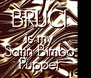Campsissyboi: Alleen audio - Bruci is mijn satijnen sletpop