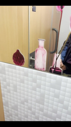 Caruso Rainbow: Schnelle pause in der zug-toilette