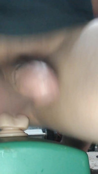 Bouncing and Flapping