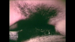 Vintage Megastore Full hd: Cucníci