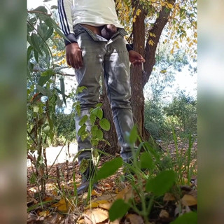 Zebra Ass: Erstes video