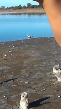 Amatoriale latina esibizionismo figa e banca del fiume culo