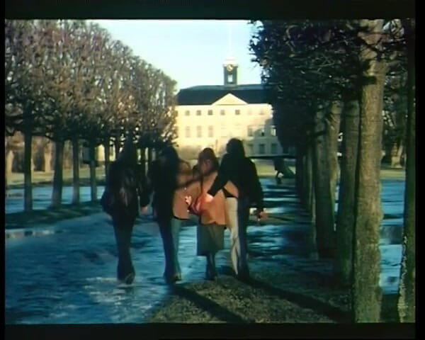 GERMAN PORN CLASSICS: Joy ride to Sweden