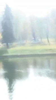 A la joven morena le encanta ser transgresora teniendo sexo en el parque con un amigo