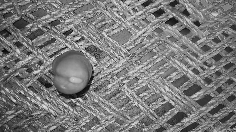 Desi_Porn_India: Videoclip sexy cu compilație de ejaculare cu homosexuali indieni.