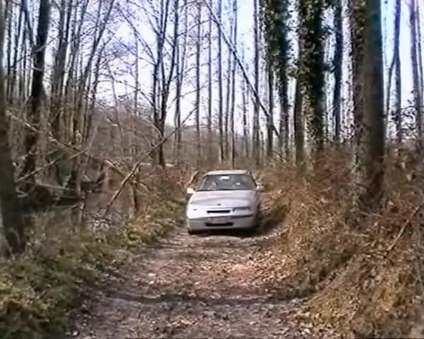 GERMAN PORN CLASSICS: Fucking Outdoors