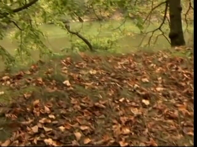Anal seduction: Dirty blonde slut gets fucked on blanket in forest