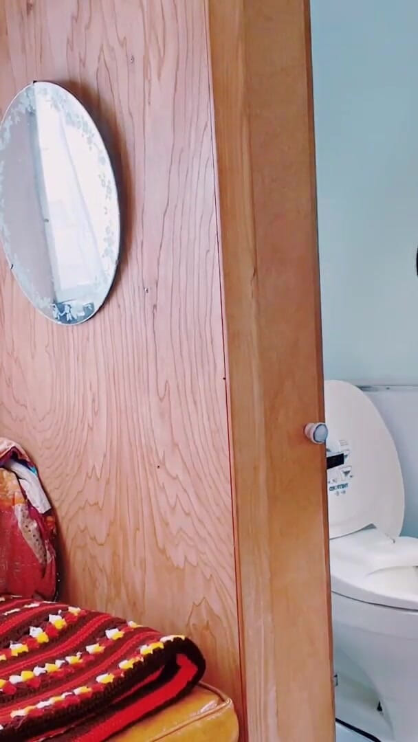 4900450 (Kactus kutie)