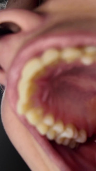 Mouth Tour 4K