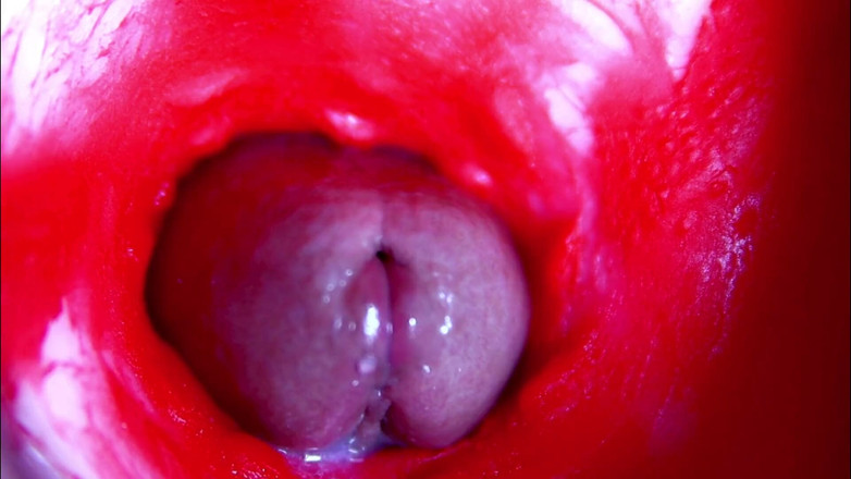 SEXY_GUYBEST: 濡れた膣の中、極端なクローズアップASMRの頭部