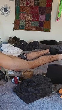 Hung Jock baise en solo, poupée sexuelle