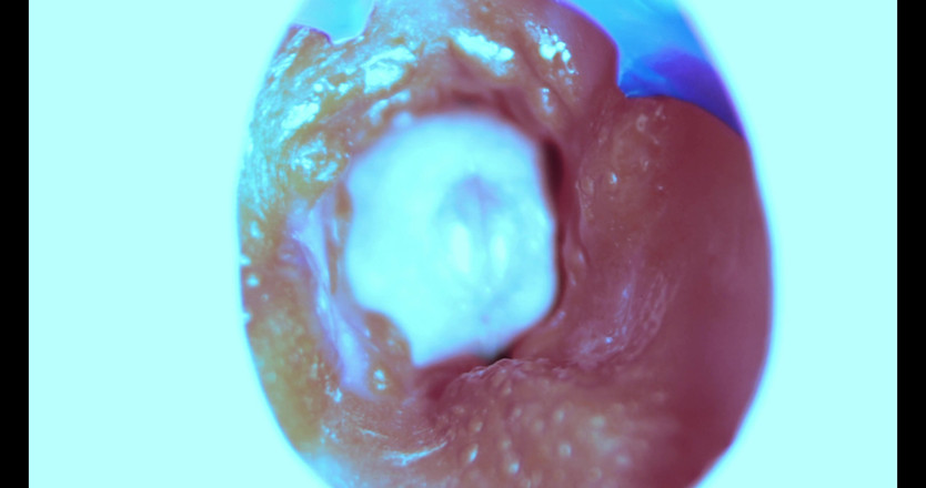 SEXY_GUYBEST: Como eu fodo de dentro! Câmera dentro!