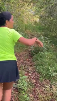 Fracassando com o Inalcançável na Floresta