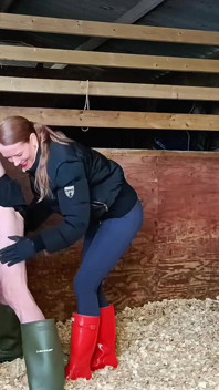 รองเท้าบูทกับไข่ นักล่าที่แข็งมาก Wellingtons เตะไข่ในคอกม้า