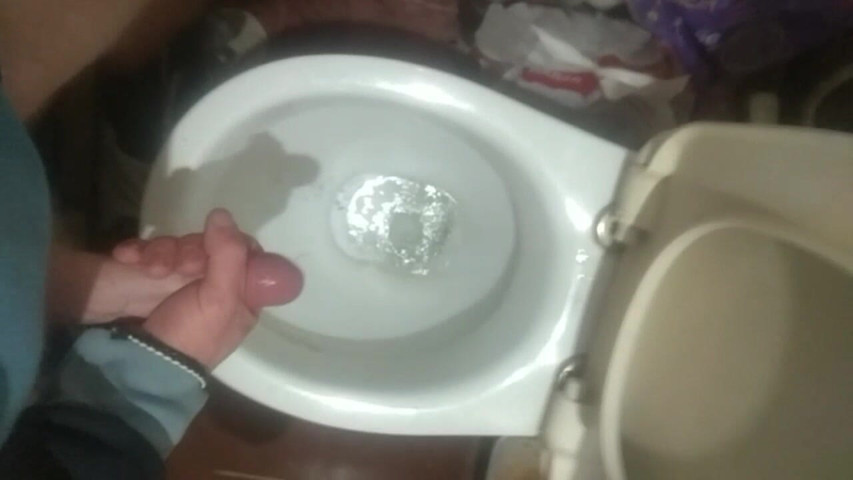 Masturbation in the Toilet 2 (Tom Brown)