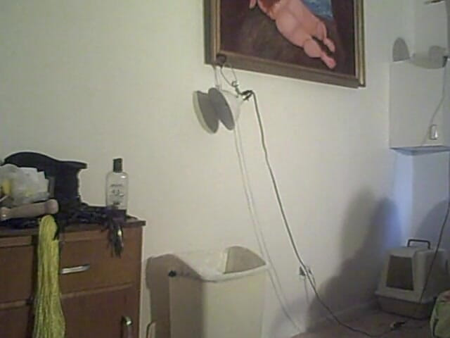 BBW nurse Vicki adventures with friends: Pertunjukan Cam nakal Pakaian Emas 19 min
