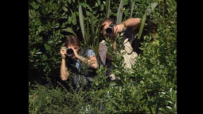 MMV TV - our best full movie: Vysoká škola sexu