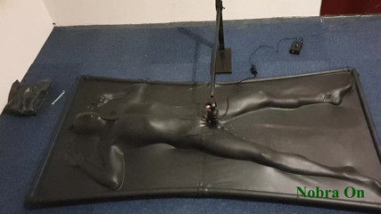 NL Milking: Vacbed and Nobra with timer