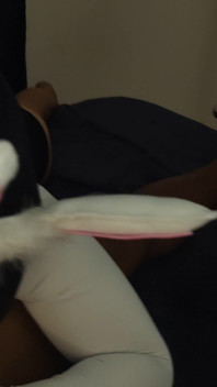 Bad Bunny 2.0 Chocolate Carrot Swallower