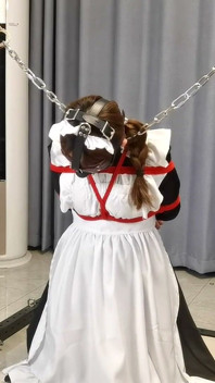 The Maid's Various Restraints